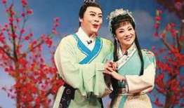 黄梅戏在线观看,在线观看，感受传统戏曲之美